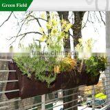 Green Field Living Walls Vertical Garden,Living Wall Garden Design thumbnail-1