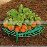 Strawberry Support ,plant Support thumbnail-1