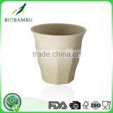 2016 Hot Sell Fantastic Biological Bamboo Fibre Drinking Cup thumbnail-6