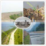 High Strength Geocell in Levees thumbnail-1