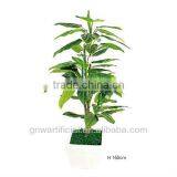 Plant and Tree Nursery Green Mini Plants Indoor Office GNW G120 thumbnail-3