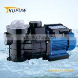 Swimming Pool Circulation Pump With Filter Basket thumbnail-1