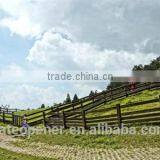 New Energy Saving Automatic Solar Swing Gate Opener Manufacturer thumbnail-6