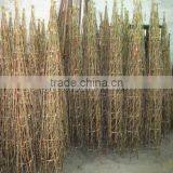 Bamboo Poles Flower Trellis for Supporting Plants thumbnail-3