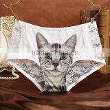 Women Sexy Cat Underwear Panties From China thumbnail-5