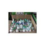 Fresh Garlic of 2011/Pure White thumbnail-1