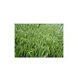 Sell Monofilament Turf thumbnail-1