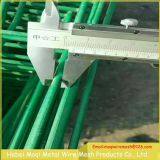 PVC Powder Coated Triangle Bend 3D Welded Wire Mesh Fence Sale thumbnail-4