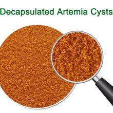 Decapsulated Artemia Cysts