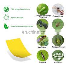 Lowest Price Pp Glue Board Pp Glued Fly Trap Agricultural Pp Insect Sticky Trap 20cm*15cm Blue thumbnail-5