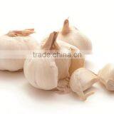 KH Factory Outlet Onion Garlic Fruits Vegetable thumbnail-2