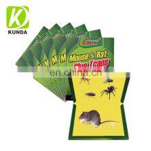 Strong Adhesive Paperboard Sticky Pre Baited Glue Traps for Mice and Rats