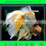 Transparent /tinted Glass/clear Float Glass 2mm-19mm thumbnail-5