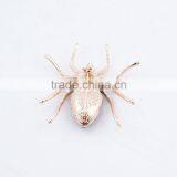 Upscale Jewelry Zircon Diamond Brooch Alloy Spider Personalized Jewelry Wholesale Clothing thumbnail-5