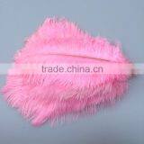 Pink Ostrich Plumes Feathers, Feather Ostrich Plumes, Different Colours Carnival Ostrich Feathers thumbnail-2