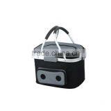 26L Mini Portable Car Cooler Bag 12V