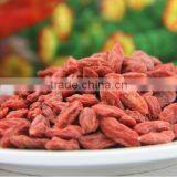 Chinese Herb Goji Berry