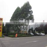 Chongqing Yufeng Wire & Cable Co., Ltd. company overview - view 2 thumbnail