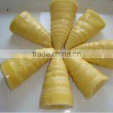 March Spring Season Food Canned Bamboo Shoot on Hot Sell