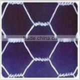 Hexagonal Wire Mesh
