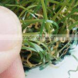 Wholesale 20mm Artificial Landscaping Grass thumbnail-6