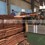 Eucalyptus joint core veneer 100%A with competitive price