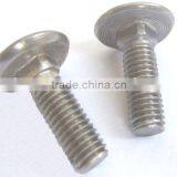 Stainless Steel Cup Head Square Neck Bolt thumbnail-1