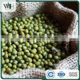 Machine Dressed Green Mung Bean thumbnail-2