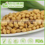 Halal ISO22000 ISO9001 BRC Certificated Original Flavor Sunflower Kernels thumbnail-4