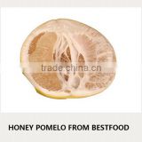 New crop fresh pomelo for Russia pomelo market