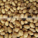 New Crop Fresh Potatoes thumbnail-1