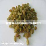 Big Size Sweet Green Raisin Hot Sale thumbnail-6