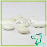 Large Type White Kidney Bean Origin In China 2016 New Crop thumbnail-4