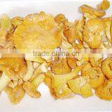 Dried Mushroom Cantharellus Cibarius thumbnail-4