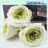 Farm Plant Flower Preserved Green Austi Rose Flowers With Flower Head 4-5cm thumbnail-1