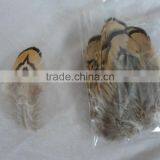 Fly Tying Feather Natural Feather thumbnail-5