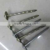 Roofing Nail thumbnail-4