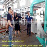 Automatic Paper Pulp Egg Tray Making Machine Price thumbnail-6