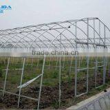 Cheap Tunnel Green House Baolida Vegetable Tunnel Green House for Tomato thumbnail-2