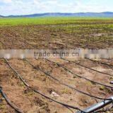 PE Material Drip Hose thumbnail-2