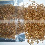 Insect Protein Bird Food Dried Mealworms thumbnail-2