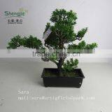 Indoor Bonsai,potted Evergreen Foliage, Decorative Landscape thumbnail-2