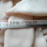 Frozen Fresh New Produced U5 Squid Tube thumbnail-5