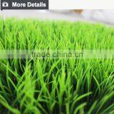 2016 Artificial Grass Artificial Green Wall for Indoor&outdoor Decoration thumbnail-3