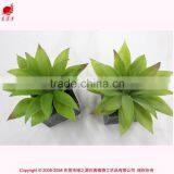 High Quality Wholesale Artificial Mini Succulents Small Artificial Plant thumbnail-2
