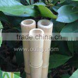 Decoration Short Tonkin Bamboo Cane/pole thumbnail-4