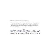 Extrusion System Production Line of Snack Pellets