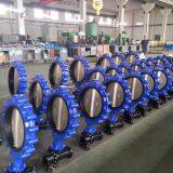 China Butterfly Valve Manufacturer Co.,Ltd company overview - view 1 thumbnail