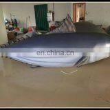 Giant Inflatable Fish , Inflatable Air Fish , Inflatable Big Fish Pvc thumbnail-2
