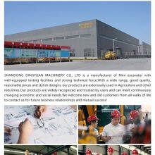 Shandong Dingyuan Machinery Co., Ltd. company overview - view 1 thumbnail